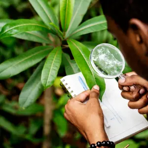 Environmental & Ecological Survey