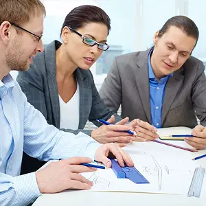 Government & Public Sector Survey